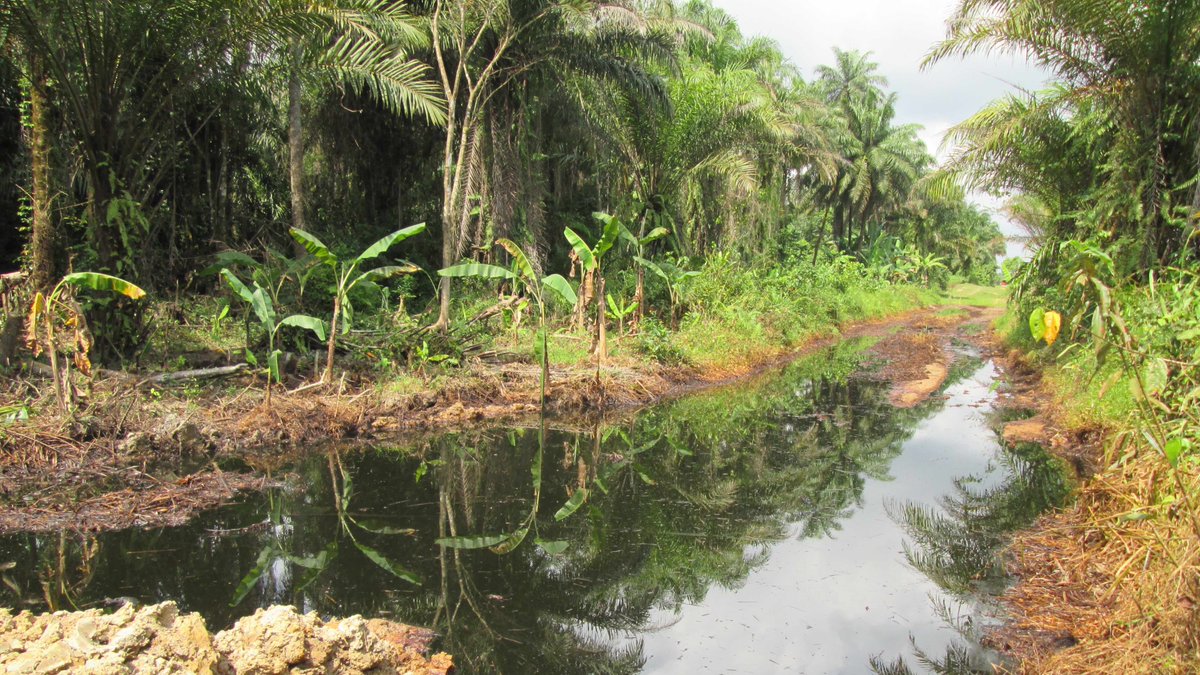 MediaMaji's tweet photo. @APC_News Q4:  Lack of adequate manpower and technical knowhow of government agencies to ensure in-depth monitoring and data collection of oil facilities and locations. Lack of adequate funding also goes a long to hamper monitoring and documentation. 

#EcoThursday #AirQualityData https://t.co/TvNUDosvEf
