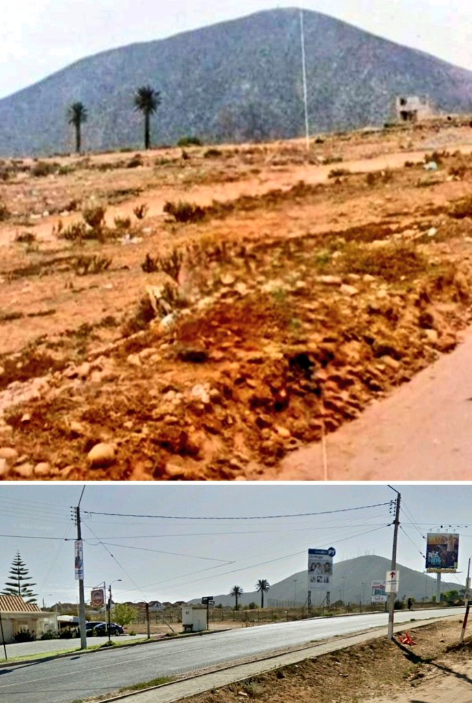 vecinoslaserena's tweet image. 📷 La Serena, San Joaquín. Las palmeras son la referencia, mirando desde Cuatro Esquinas llegando a Alberto Arenas.
Fotografía original de Nevenka Aracena Rojas. Historia de La Serena. Imagen retocada emuló el paisaje ocultando personajes). Foto 2022 Samuel Tapia Palta.
