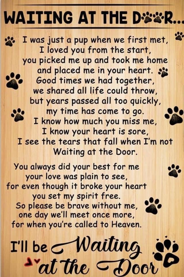 @markaperks1 Awe Mark, I'm so sorry 🙏🏼 You and your family in my heart and prayers today  🫂
#ForeverInOurHearts 🐾