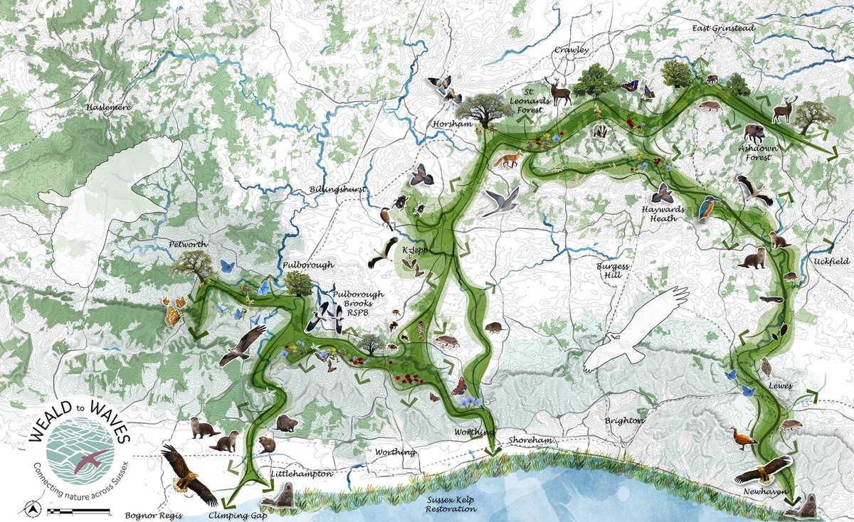LibDrew's tweet image. Delighted to be speaking at @Groundswellaguk this afternoon on the @WealdtoWaves corridor. It’s been a wild year of collaboration and ambition and so much ahead to do. If you are here at the festival come and join us in conversation at 4.30pm.