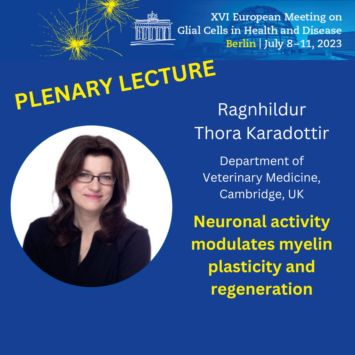 Last but not least our #glia2023 gem No. 7! Ragnhildur Thora Karadottir talks on Monday, July 10 at 8:30 about how "Neuronal activity modulates #myelin plasticity and regeneration". 
We are excited to meet the #glia community again next week! 😁  
#gliameeting #oligodendrocytes