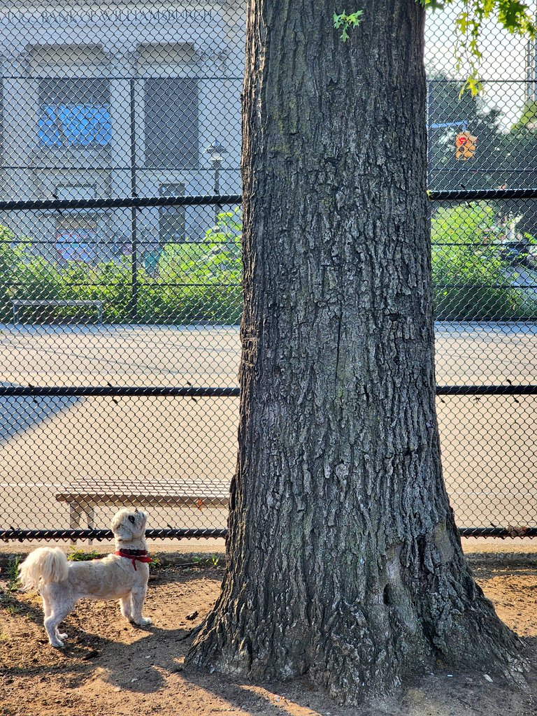 Squirrel o'clock 🐿️