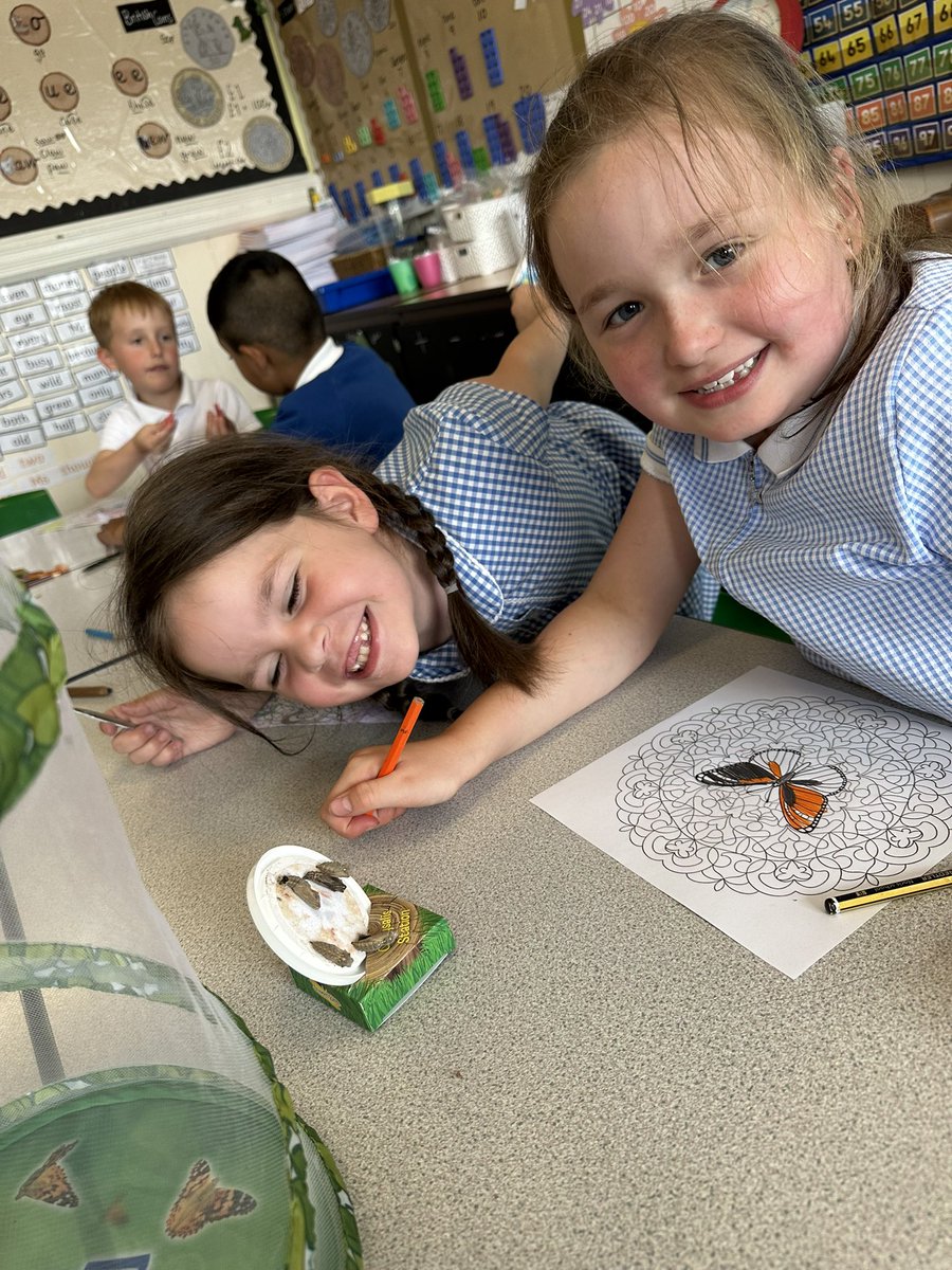 stjosephskly's tweet photo. Apple Class 🍎 are loving looking after their chrysalises and are so excited for them to turn into butterflies! 🦋 💕 #Appleclass #SJKScience https://t.co/Xg1cG7kU1D