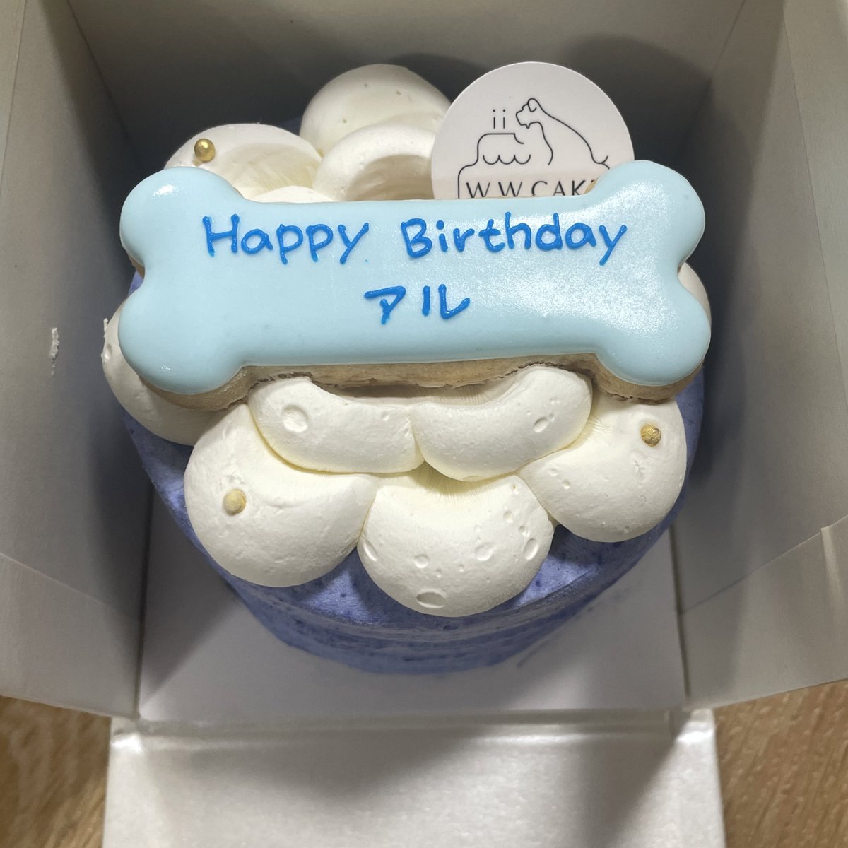 2才になったアル✌️