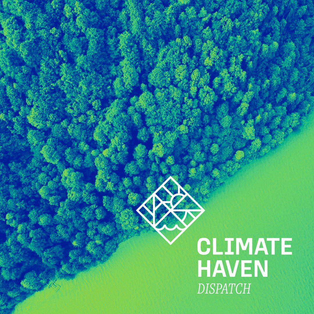 In the meantime, visit the link below to explore our archive of past newsletters, and remember to share it with your friends and fellow climate tech entrepreneurs.

climatehaven.tech/insights/nrzo9…
