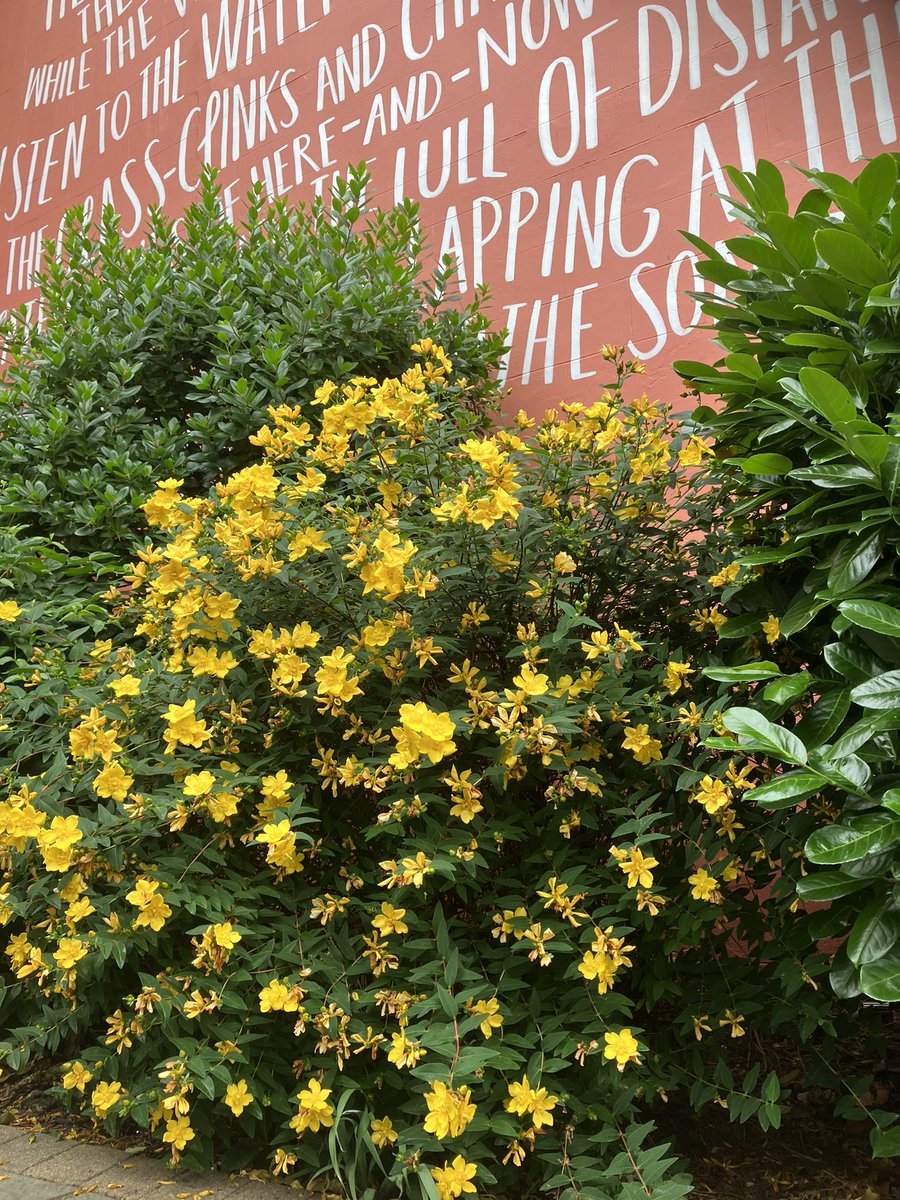 Our <a href="/TrentUni/">Nottingham Trent University</a> landscapes are already sending out a warm welcome ahead of open days this Friday &amp; Saturday! 👍🌸😎🌺🌼🌻🐝