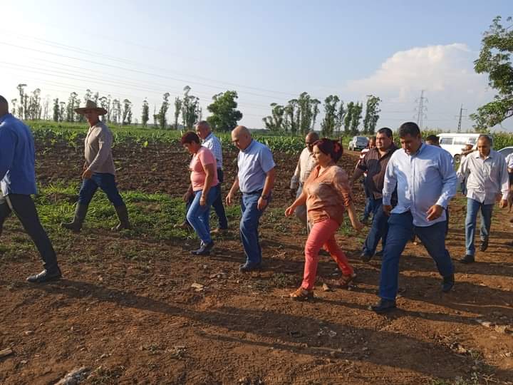Hoy en #PinarDelRío integrante del Buró Político y secretario de Organización Dr. Roberto Morales Ojeda visita la finca La esperanza perteneciente a la CCS Pelayo Cuervo del municipio Consolación del Sur.
#Cuba #AgriculturaCubana