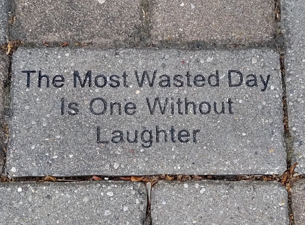 just saw this brick paver on my way to my last appts at Mayo Clinic and this is absolutely my daily motto. life is just not as serious as we would like to believe.