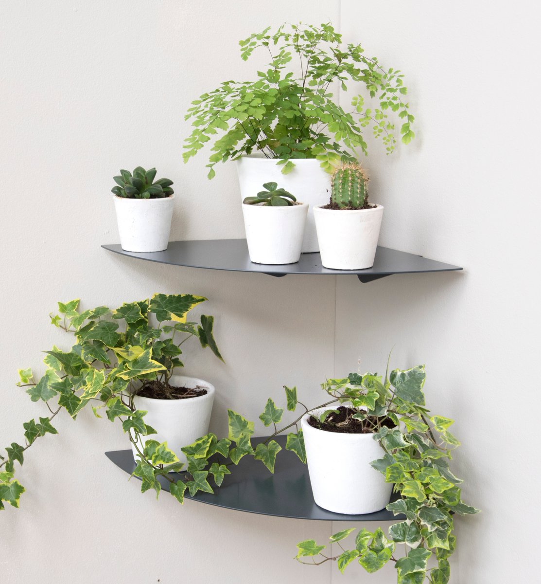 TEEbooks_'s tweet photo. En ce moment profitez de réductions jamais vues chez TEEbooks sur nos étagères salle de bain ainsi que nos étagères pour plantes !!! ⁠🤗😍⁠
⁠
N'attendez plus et commandez les vôtres dès maintenant sur notre site internet et recevez les sous 4 jours ouvrés.  💥⁠
⁠ https://t.co/Hek1LcFY3g