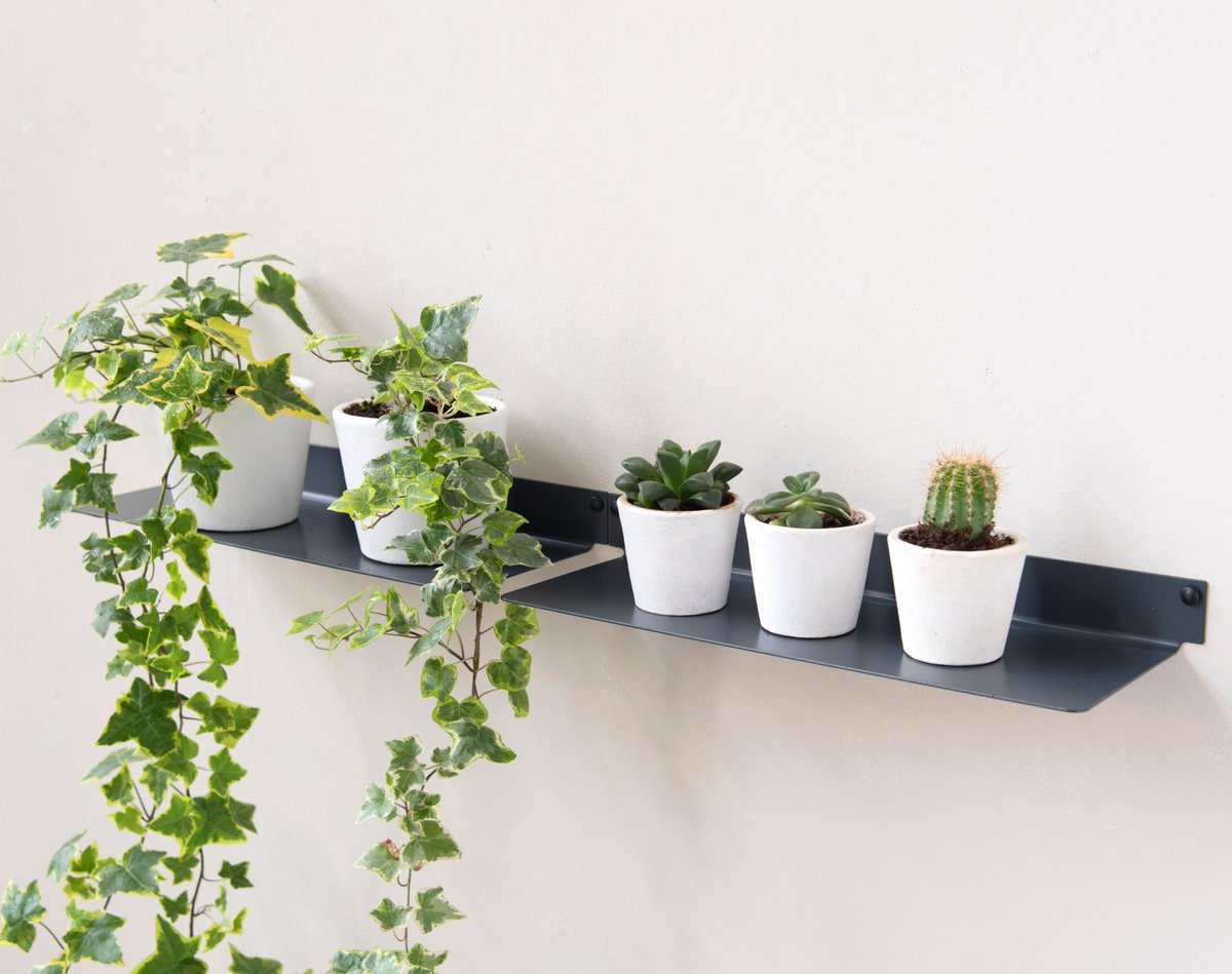 TEEbooks_'s tweet photo. En ce moment profitez de réductions jamais vues chez TEEbooks sur nos étagères salle de bain ainsi que nos étagères pour plantes !!! ⁠🤗😍⁠
⁠
N'attendez plus et commandez les vôtres dès maintenant sur notre site internet et recevez les sous 4 jours ouvrés.  💥⁠
⁠ https://t.co/Hek1LcFY3g