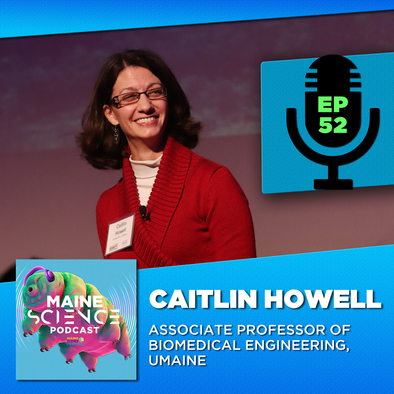 New episode out! Remarkably inspiring work (which is inspired by nature) from <a href="/UMaine/">University of Maine</a> 's Caitlin Howell. Bioengineering has never felt so accessible!    
mainesciencefestival.org/post/maine-sci… 

#scicomm #inspiredbynature #mainescience #maineengineering
