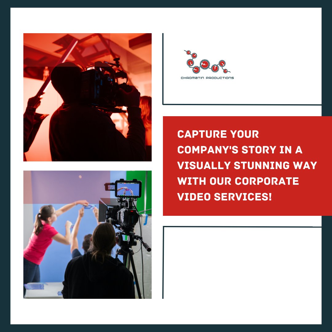 ChromatinProductions tweet media