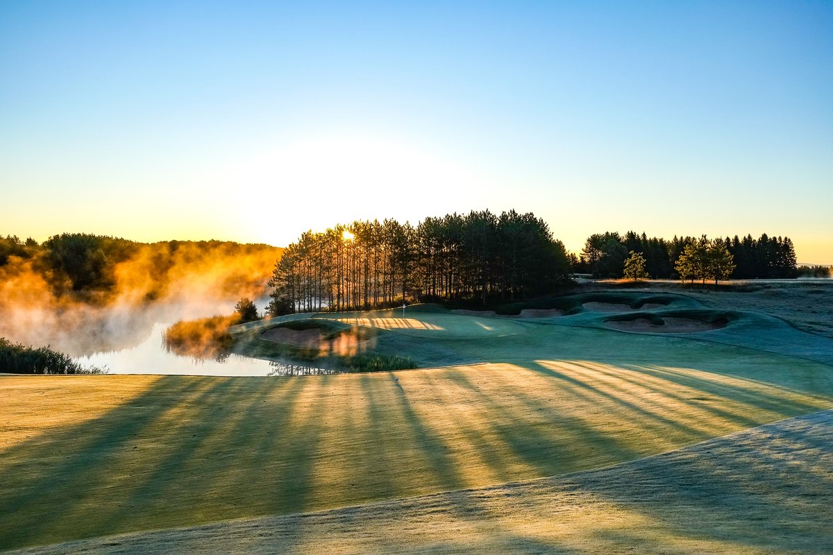 Brian Decker tweet media