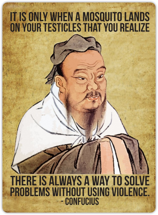 NDeWestelinck's tweet photo. “It is only when a mosquito lands on your testicles that you realize there is always a way to solve problems without using violence.” 🙏🏻 #purewisdom https://t.co/rVuMMx0erb