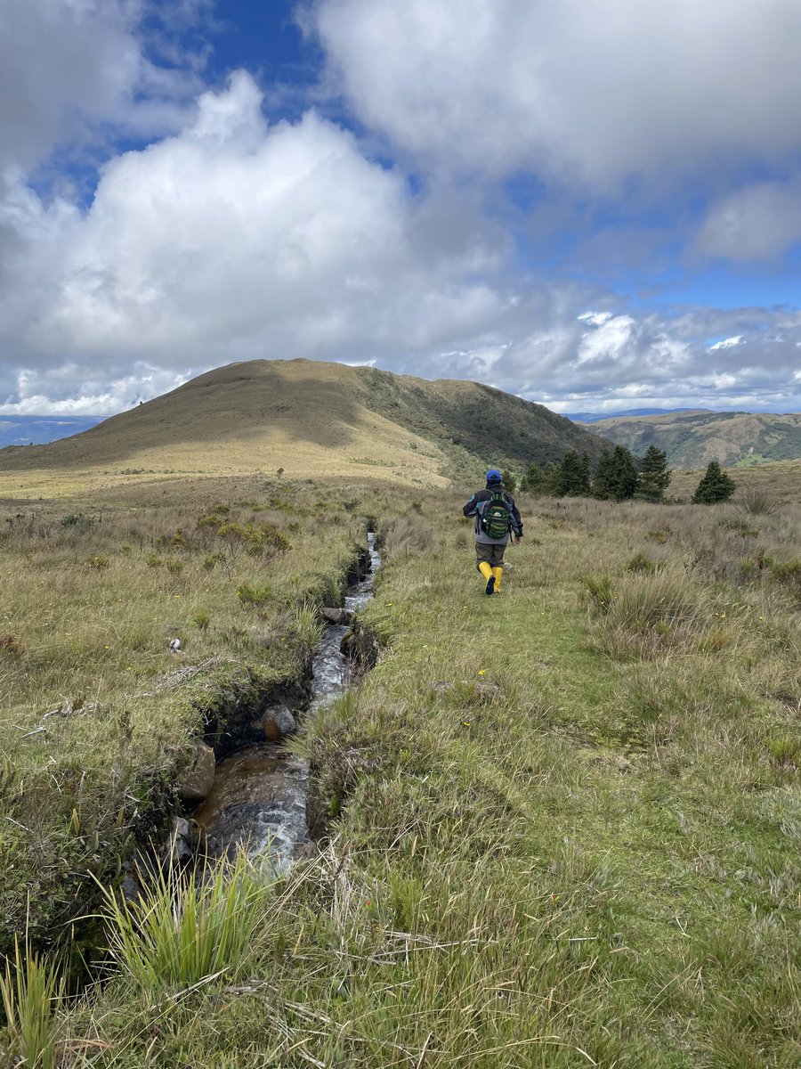 Meg Mills-Novoa (@millsnovoa) on Twitter photo I have spent the last month in Ecuador visiting communities that formerly participated in climate change adaptation projects. They are fiercely fighting to keep their orgs and infrastructure going but are struggling. We need climate finance models that provide sustained support. I have spent the last month in Ecuador visiting communities that formerly participated in climate change adaptation projects. They are fiercely fighting to keep their orgs and infrastructure going but are struggling. We need climate finance models that provide sustained support.