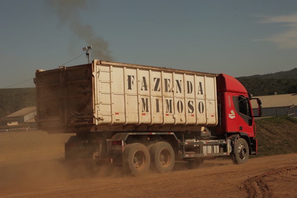 Coffee in motion at Fazenda Mimoso in the Oeste Baiano growing region of Brazil.

We're thrilled to offer Fazenda Mimoso Decaf—decaffeinated by Swiss Water—in-store now at CTI-NJ and the Annex! Click the link to learn more.
bit.ly/46sI3At