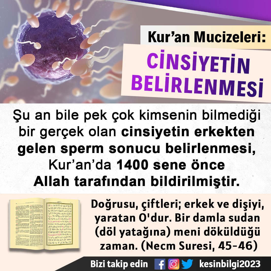 Kur’an Mucizeleri: CİNSİYETİN BELİRLENMESİ

Şu an bile pek çok kimsenin bilmediği bir gerçek olan cinsiyetin erkekten gelen sperm sonucu belirlenmesi, Kur’an’da 1400 sene önce Allah tarafından bildirilmiştir.