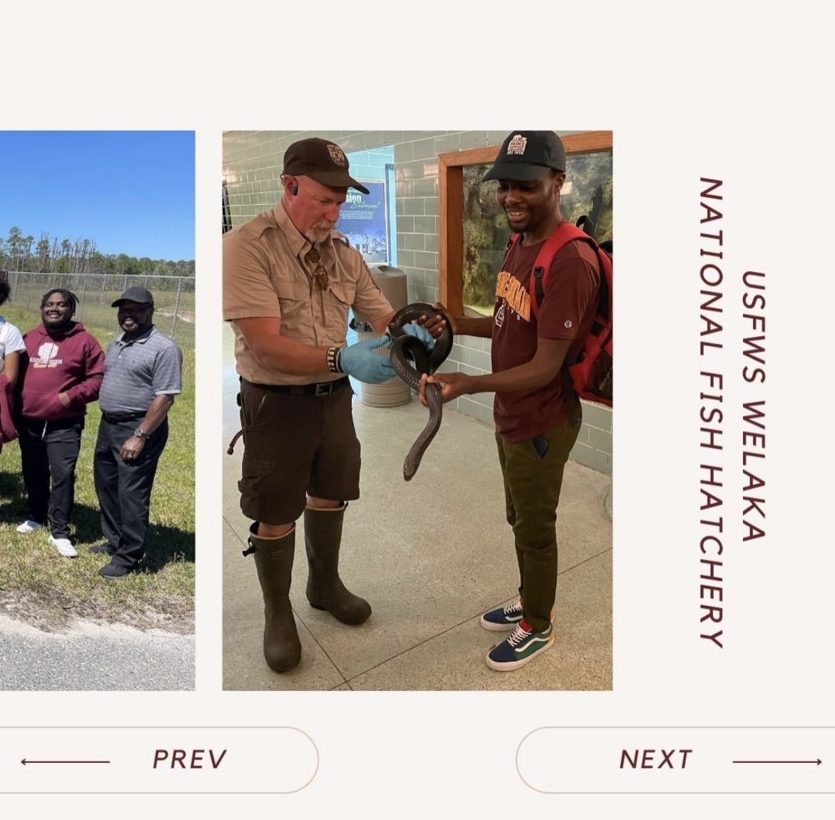 B-CU Together we R.I.S.E.! tweet media