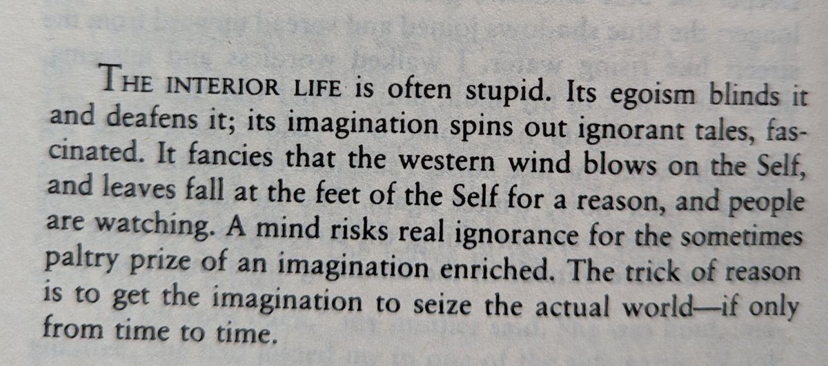 Annie Dillard does it again, with the sentences perfectly assembled.
(An American Childhood)