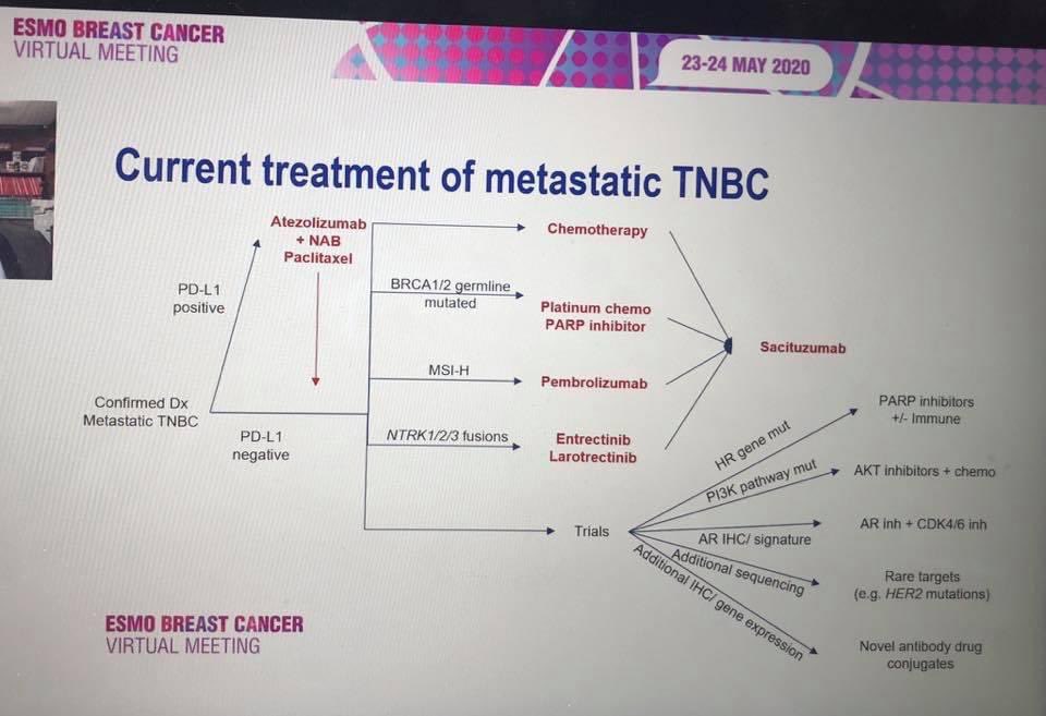 1/Spoke w/ newly dx 👩🏼‍🦰 w/ #mTNBC recently, used 📷 taken by 🙋🏼‍♀️during 2 scientific #breastcancer conf in 2019/2020 4 tx ref. No updated charts like these 👀 at a conf since?! #OncTwitter, charts like these are *gold* for pts. Both are pinned in mTNBC FB group, but outdated.  #bcsm