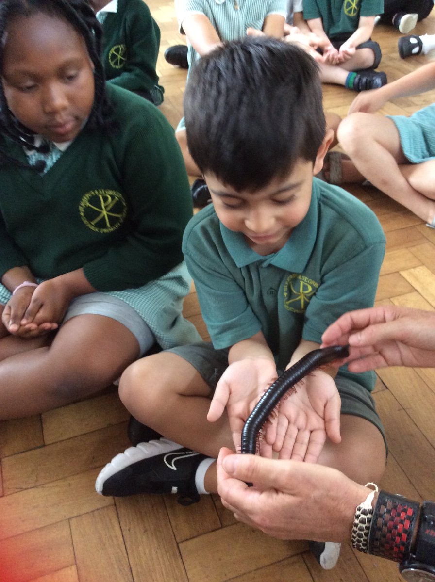 StJosephs&StGregorys tweet media