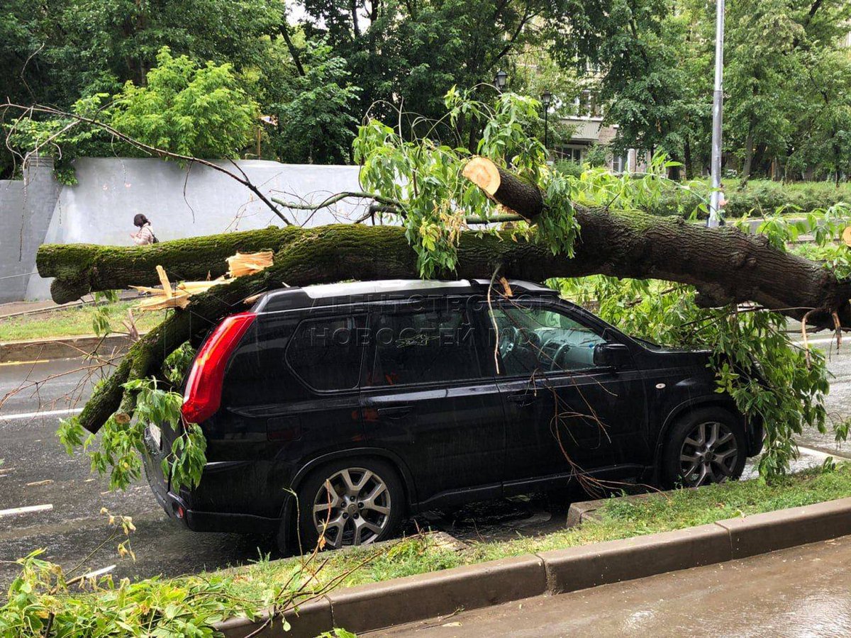 🌬️Непогода оставляет после себя неприятные сюрпризы