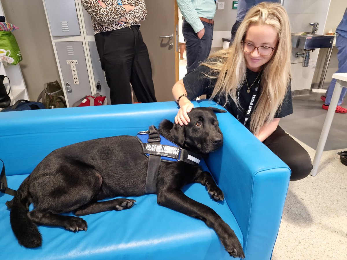 MetPCRhi's tweet photo. So happy to have met @PD_DexterWBDOG  this afternoon at the RLH. He certainly brightened everyone’s day. Thank you to Sgt Sheather for bringing him along 🐶🐾💙 https://t.co/NoStTjT0aN