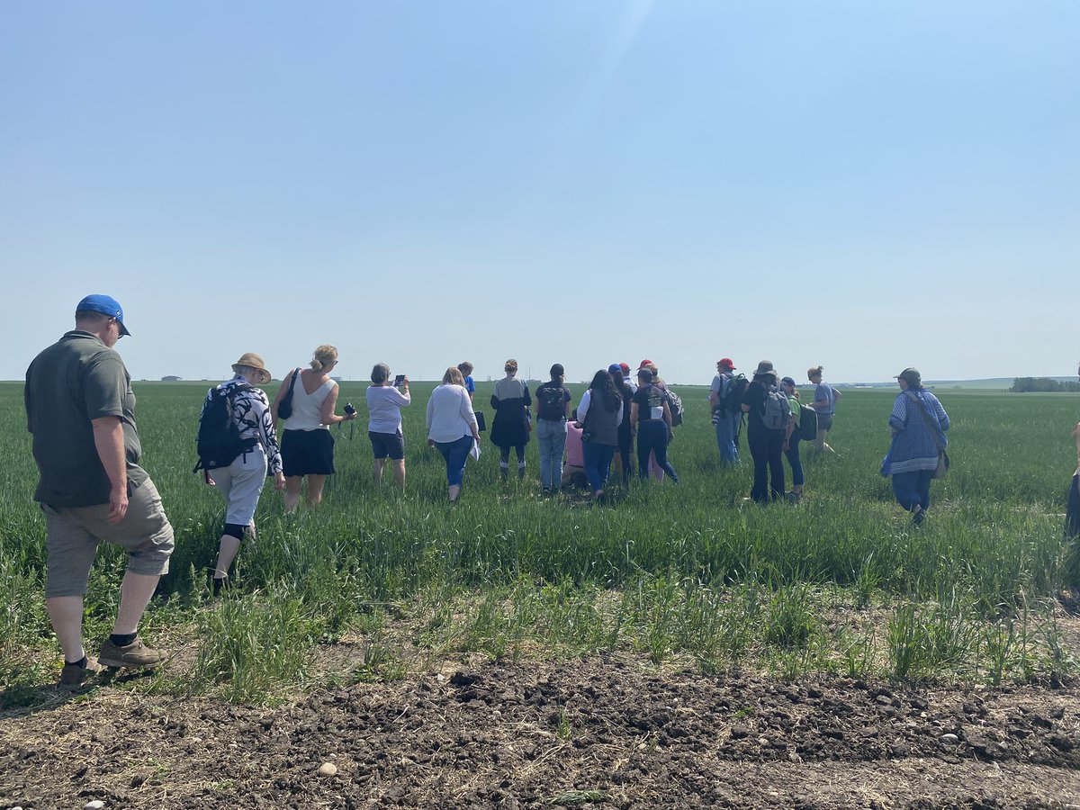 It’s not a farm tour without a farm writer field snap
 #ifaj23 
Alect Farm in Three Hills, AB - barley seed stop