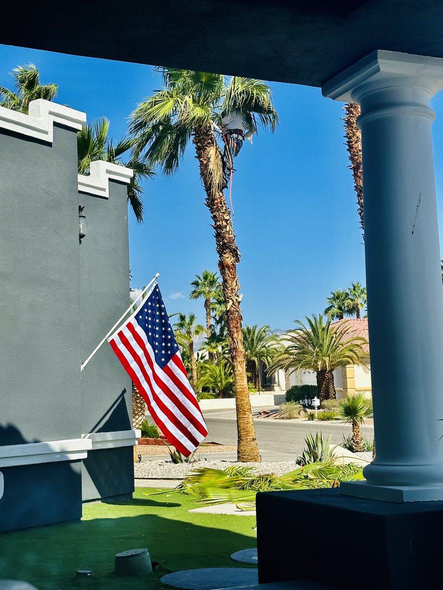 bransionlv's tweet photo. @bransionlv strives to never stop improving. The proprietors know that well manicured and trimmed bush are keys to success. Book your stay today. https://t.co/upcn6wsSiY