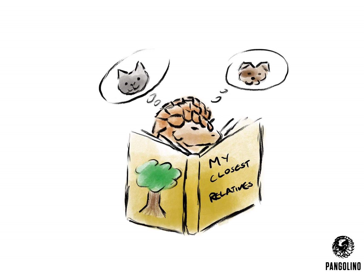 Pangolins may look like anteaters or armadillos, but they are actually more biologically related to cats and dogs! Learn more about pangolins and how to submit your own pangolin art at pangolino.org.
(Drawing by Emily Pardoe-Billings)