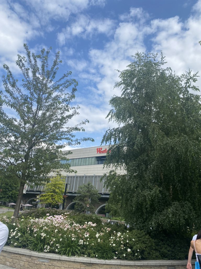 LHS Humanities tweet media