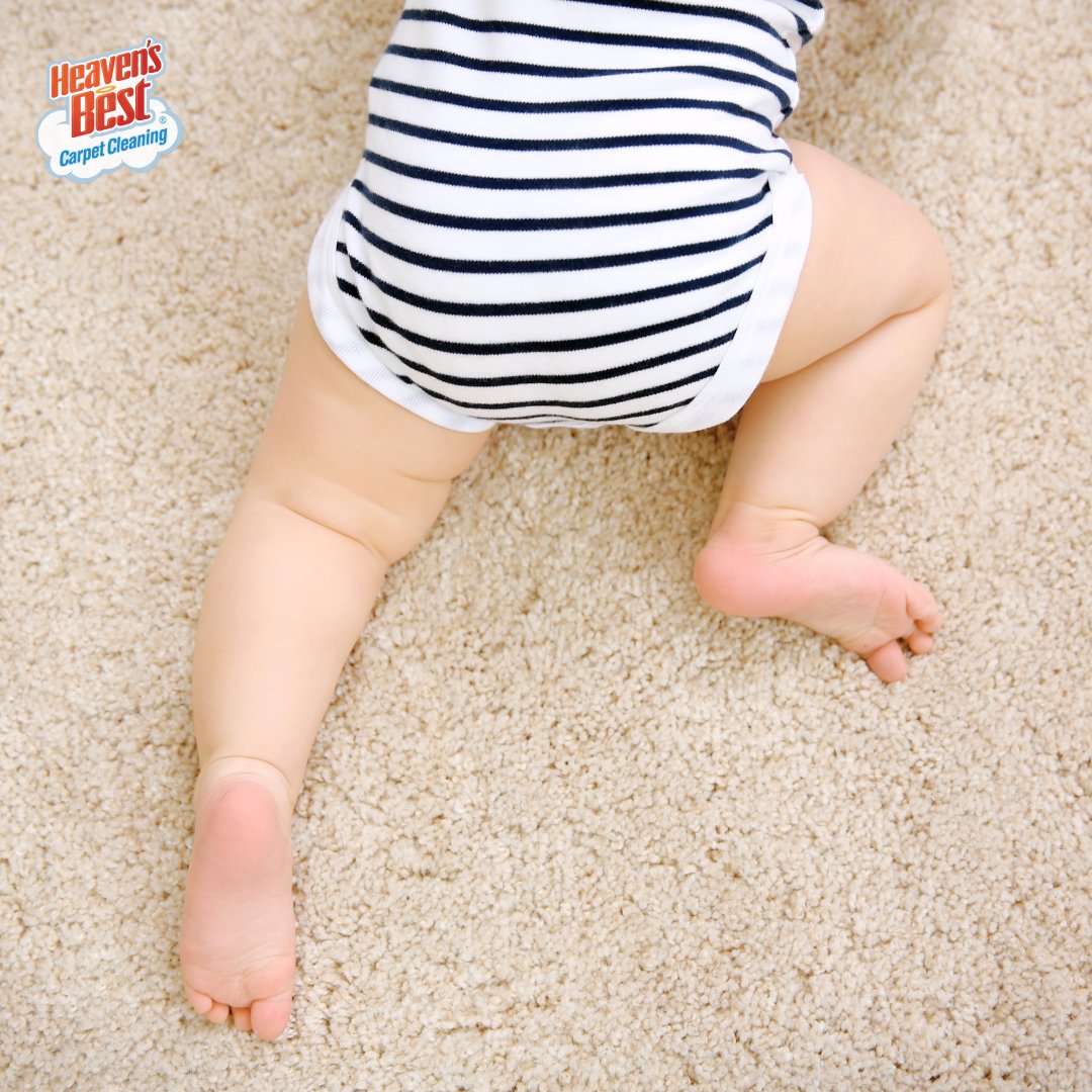HB_ElkGrove's tweet photo. Sun's out, buns out! 🌞 Our eco-friendly carpet cleaning methods are safe for your children and pets - schedule your cleaning with Heaven's Best today!

https://t.co/dudmDKNDki
#HeavensBest #CarpetCleaning #UpholsteryCleaning #AreaRugCleaning #CleaningServices https://t.co/qCEMYqiNnV