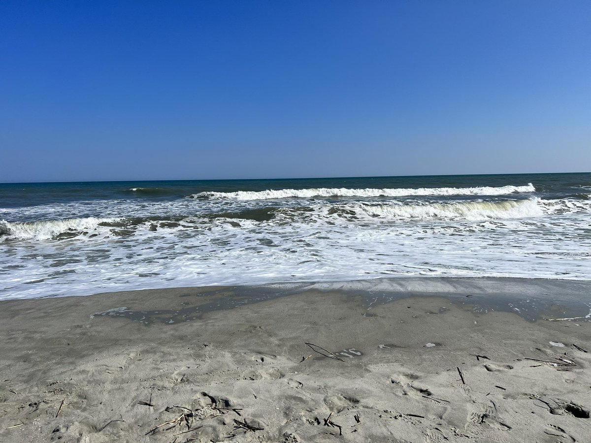 frankiemoree's tweet photo. Beach time like all of July https://t.co/rHYqgrs8p7