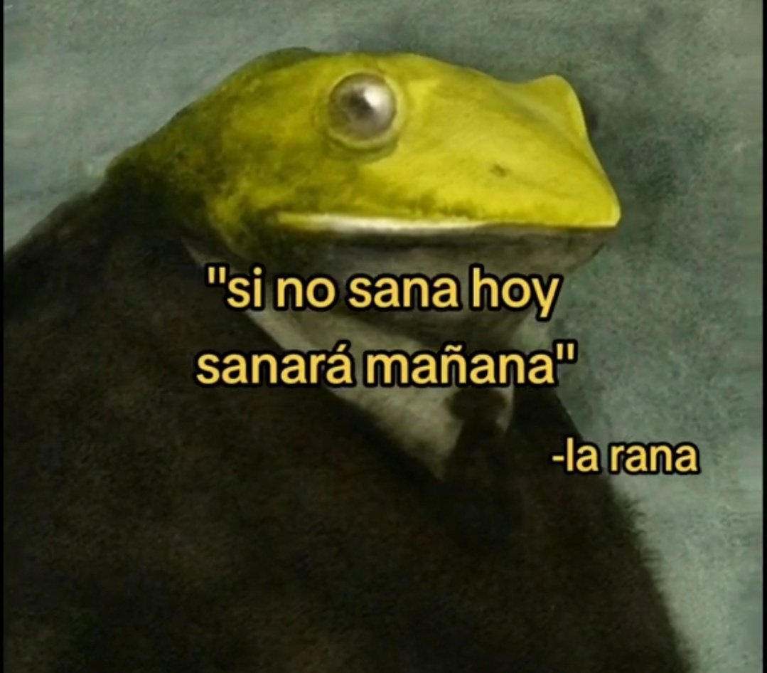 nacional_memes's tweet photo. Cómo debe ser https://t.co/A8YIzEGHkw