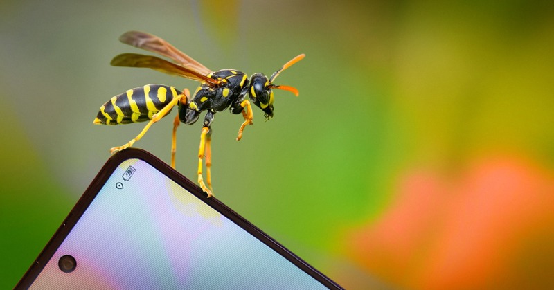 Guardsquare's tweet photo. Tips for automating OWASP MASVS 2.0 and enhancing your #MobileApp's security posture 👉  #Android  #iOS
