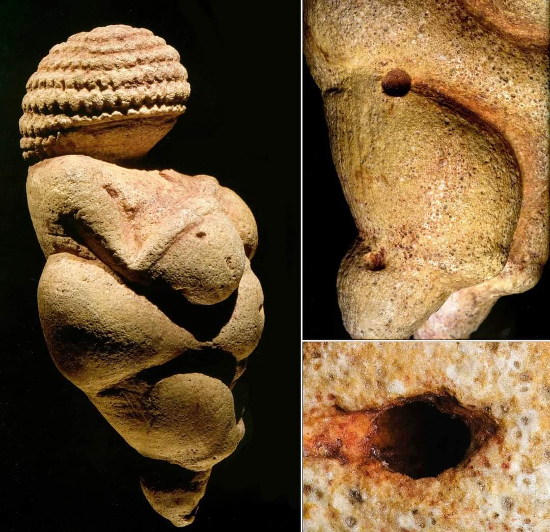 redhistoria's tweet photo. La figura de Venus de casi 11 cm de altura procedente de Willendorf (Austria) es uno de los ejemplos más importantes del arte temprano en Europa. 
Está hecho de una roca llamada oolita que no se encuentra en Willendorf o sus alrededores, por lo que no se tallaba en cualquier roca https://t.co/5VSbLshZ6j