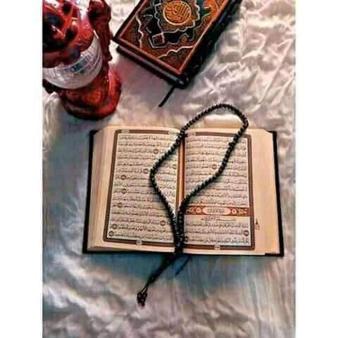 <a href="/h_raawa76/">Raawa Hamdi</a> [إِنَّ الَّذِي فَرَضَ عَلَيْكَ الْقُرْآنَ لَرَادُّكَ إِلَىٰ مَعَادٍ ۚ قُلْ رَبِّي أَعْلَمُ مَنْ جَاءَ بِالْهُدَىٰ وَمَنْ هُوَ فِي ضَلَالٍ مُبِينٍ]
#القرآن_الكريم