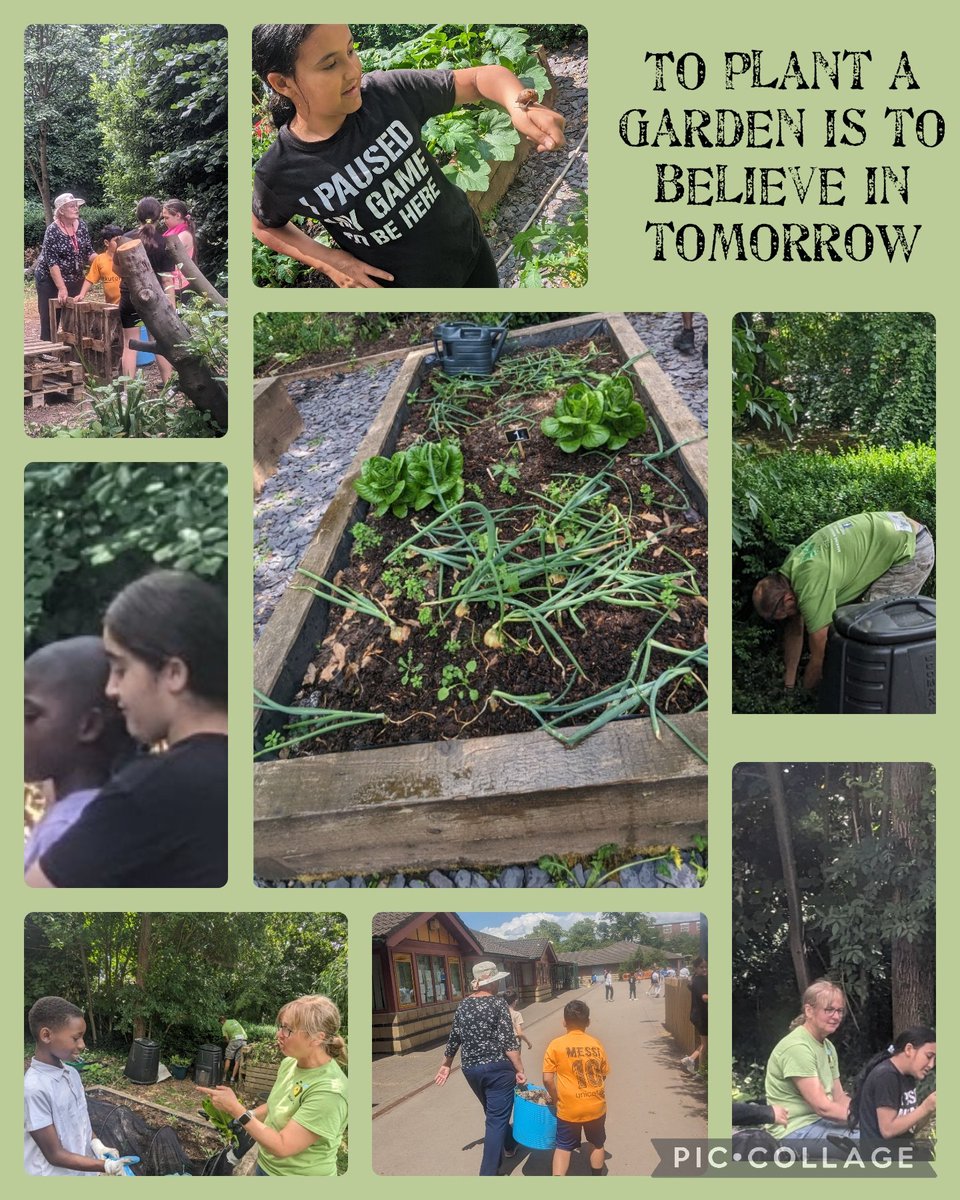 A very productive afternoon for #Team5PH in the allotment this afternoon with @GMaindee and Mrs Mizon! Lettuces and onions were ready to be harvested for Big Bocs Maindee and we also repurposed pallets to make outdoor seating in the  KS2 courtyard.
#GrowToEat #EthicallyInformed