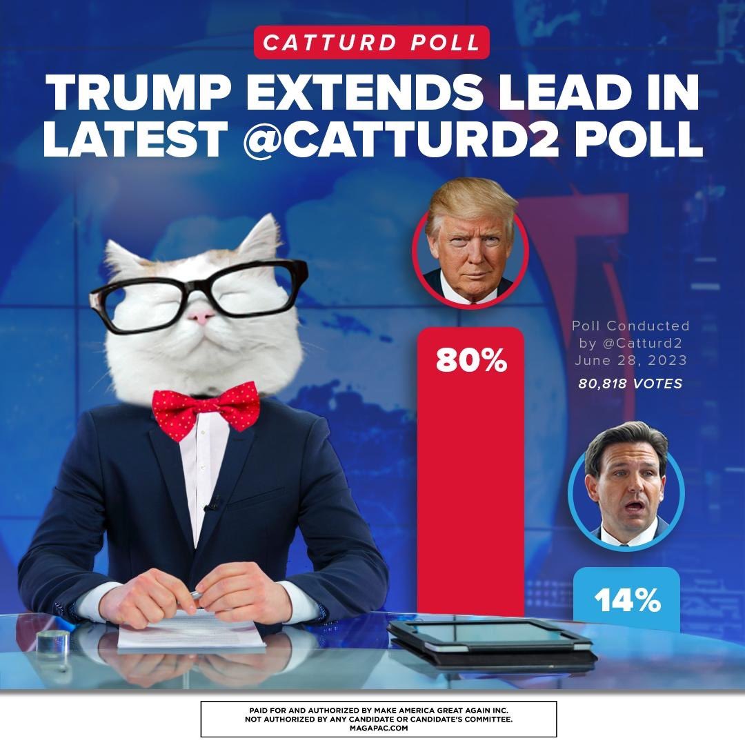 MAGA War Room tweet media