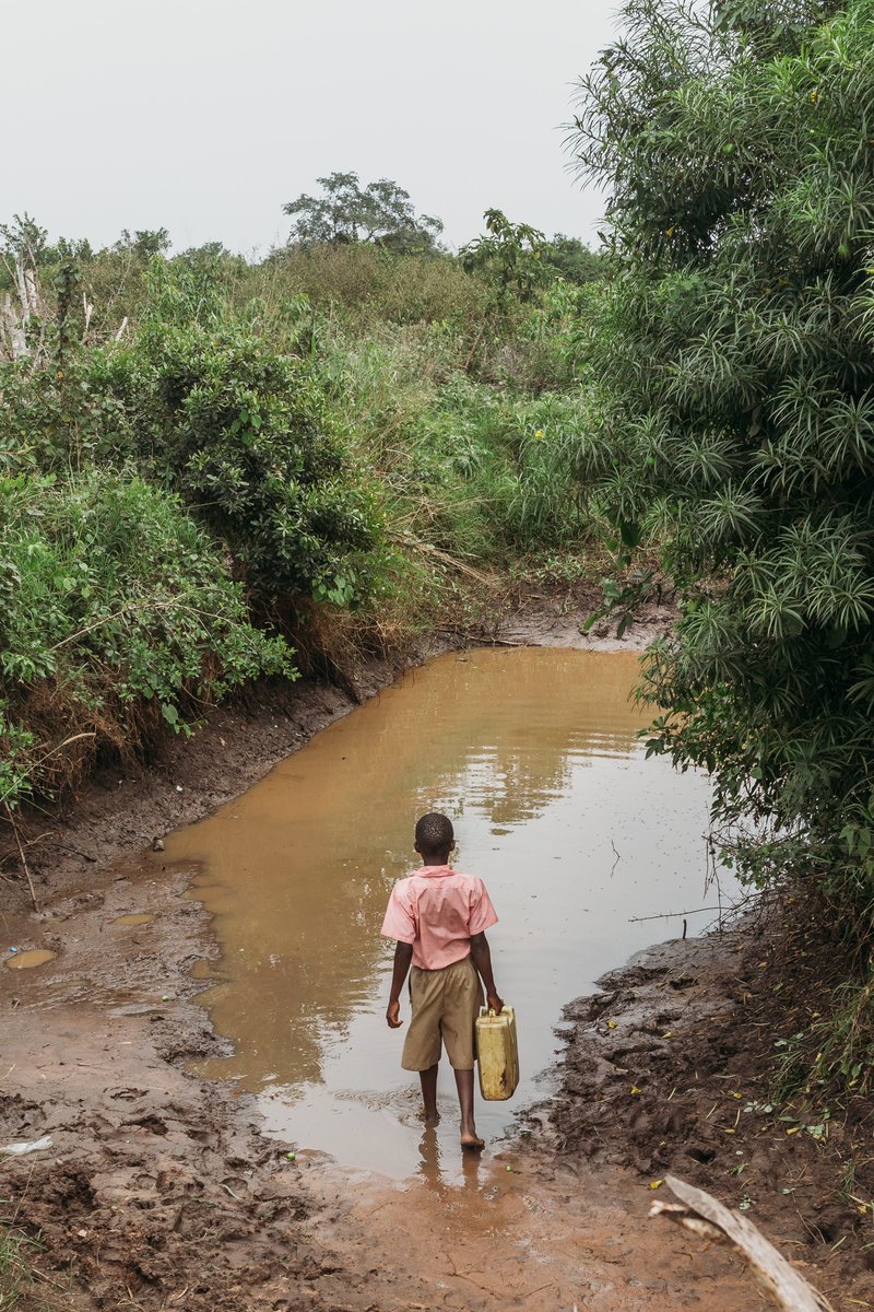 With your partnership, we can give the precious gift of health back to thousands of students. Please donate to the UWP 2023 Summer Matching Challenge today! ugandanwaterproject.com/summer2023/