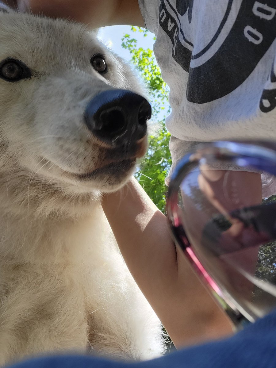 Awoo Expert 🔎 tweet media