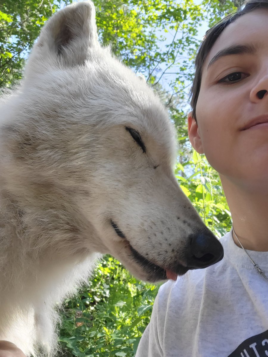 Awoo Expert 🔎 tweet media