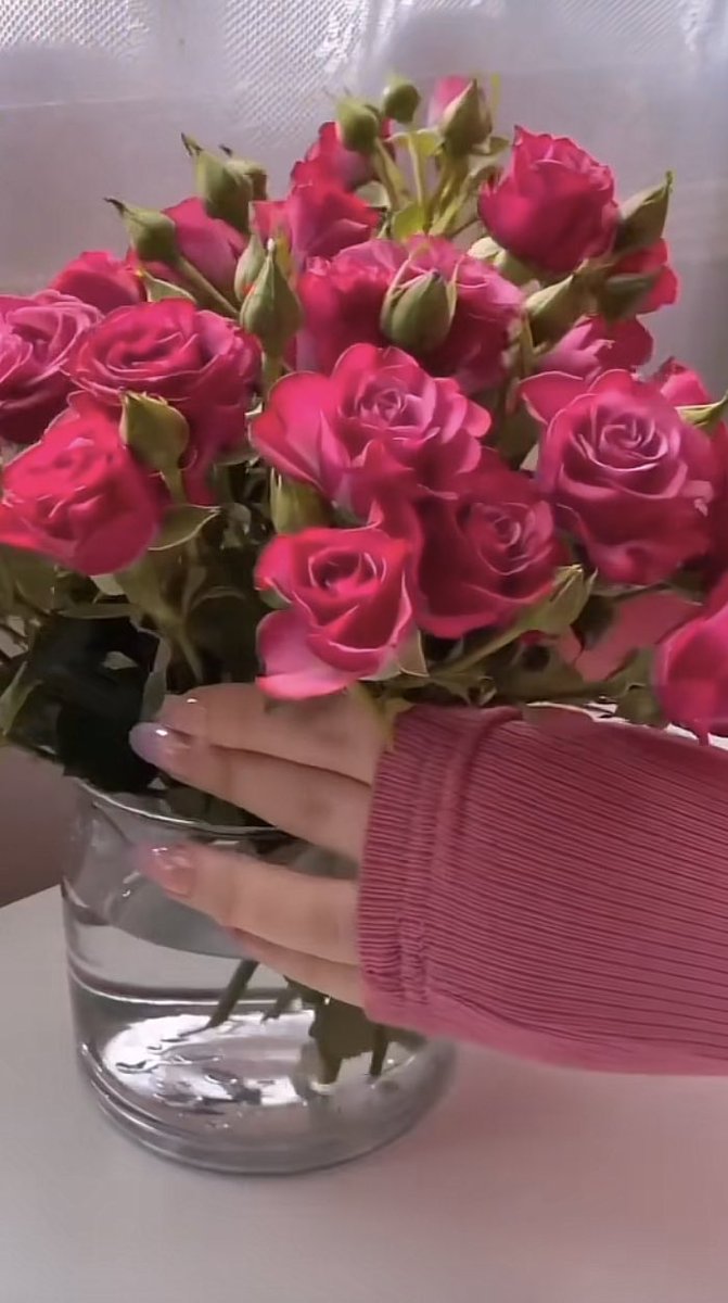 joj🦩🇸🇦 tweet media