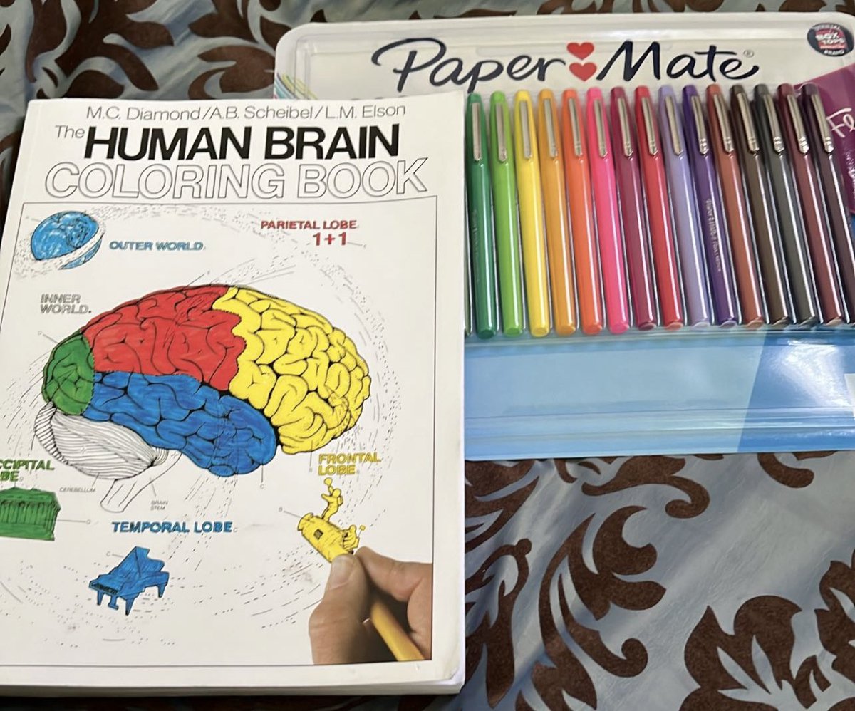 neuroscivan's tweet photo. Turns out when you do too much school you loop around to coloring again. Looking forward to the @MarquetteCHS Neuroanatomical Dissection Course this year! #neuroanatomy https://t.co/dOr1mx5IuG
