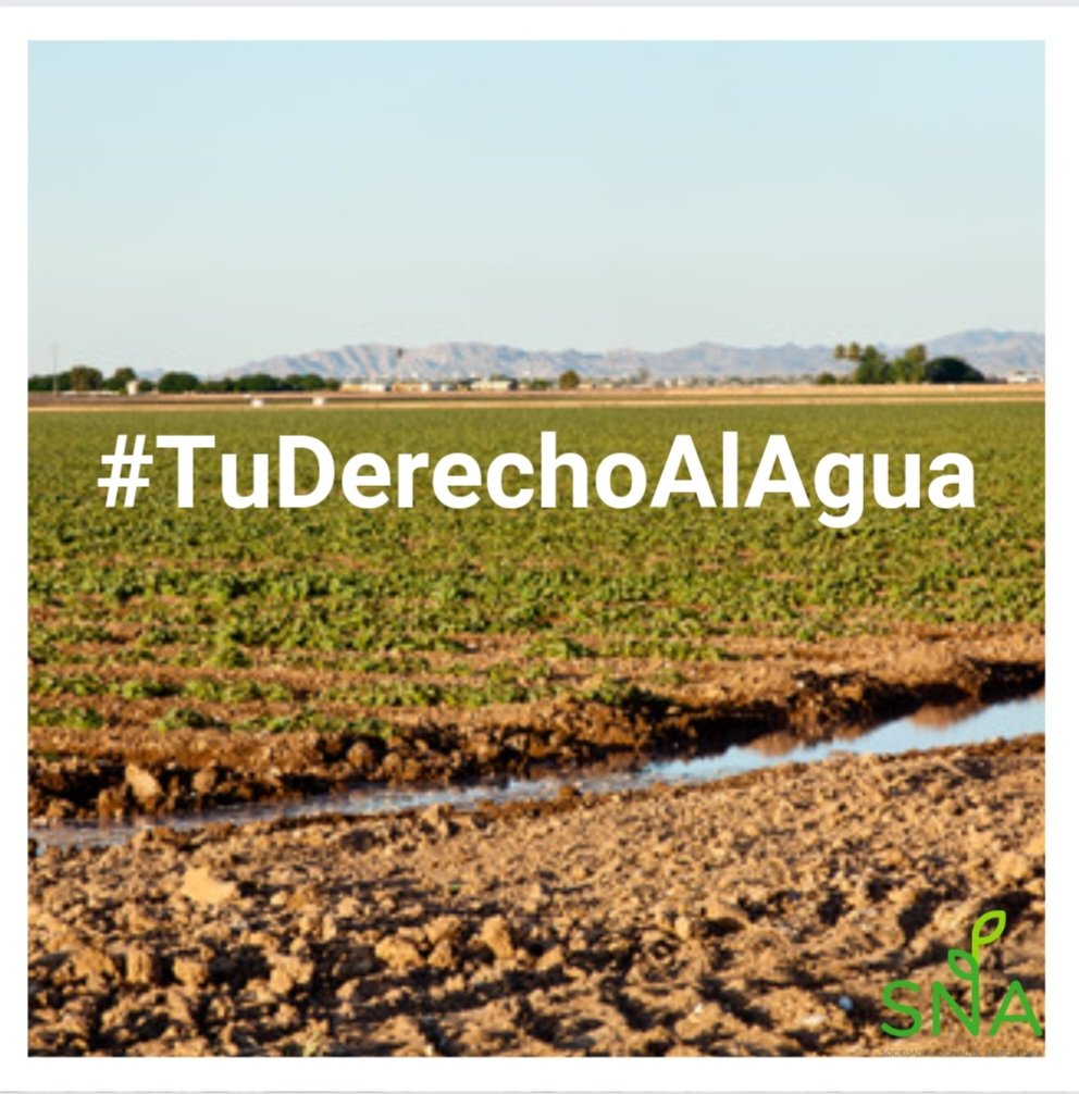 SNA_Chile's tweet photo. Necesitamos llegar a las 10.000 firmas para que el derecho al agua sea considerado por los consejeros que escriben la nueva Constitución. ¡APOYANOS!
Firma aquí 👉🏽 LINK EN EL PERFIL https://t.co/OAEucQ5OJY https://t.co/7uFBabsrBZ