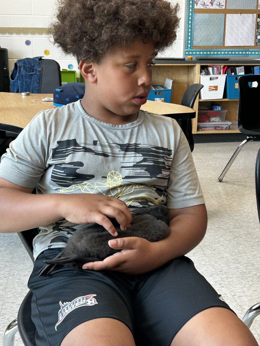 We are going to miss our babies ❤️<a href="/svdptiger/">St. Vincent de Paul</a>