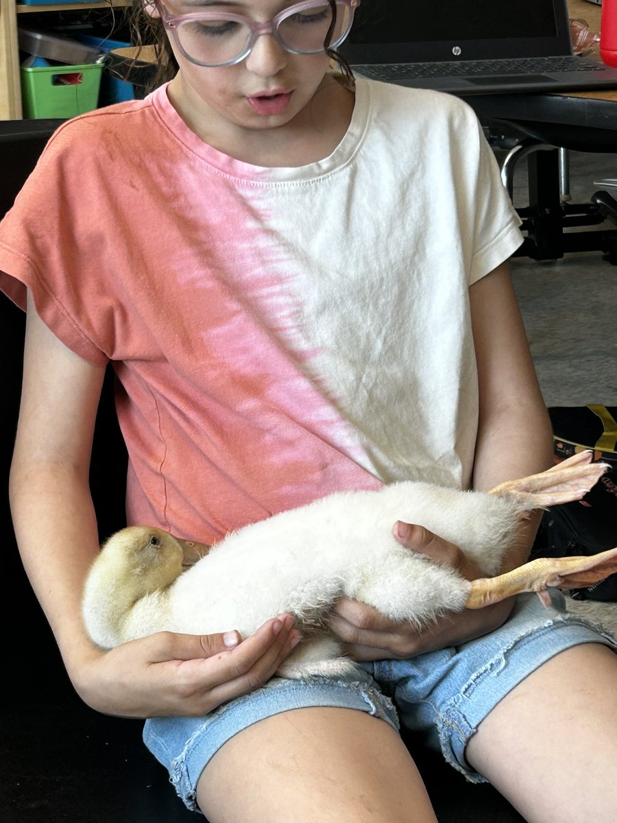 Mrs Schade tweet media