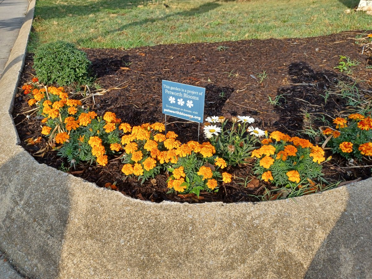 More Speed Tables on Twitter "Check out these little flower beds by