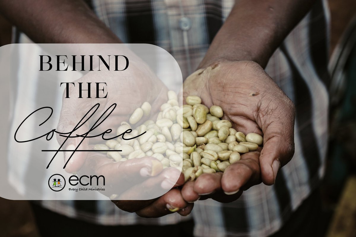 ECMAfrica's tweet photo. 𝐁𝐄𝐇𝐈𝐍𝐃 𝐓𝐇𝐄 𝐂𝐎𝐅𝐅𝐄𝐄 - Do you love ECM's Sipi Falls Coffee and want to know more about where it originates? Here is the story of one of our ECM coffee growers! ☕

Purchase a bag today: https://t.co/UvE8NKgMLR https://t.co/djaxhlKg0O