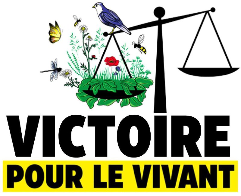 #VictoirePourLeVivant 🐝 Décision historique contre les pesticides et l’effondrement de la biodiversité en France !

🔴 Le tribunal administratif a jugé coupable l’Etat pour inaction face à l’effondrement de la #biodiversité !